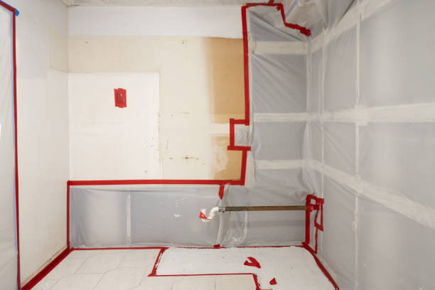 Best Mold-Related Health Consultation  in Prior Lake, MN