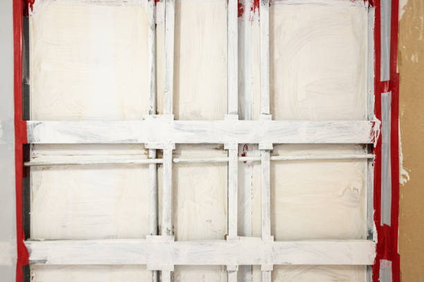 Best Emergency Mold Remediation  in Prior Lake, MN