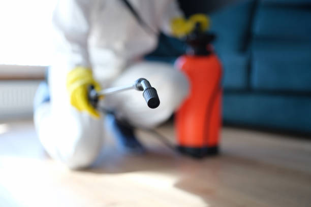 Best Mold Odor Removal Services  in Prior Lake, MN